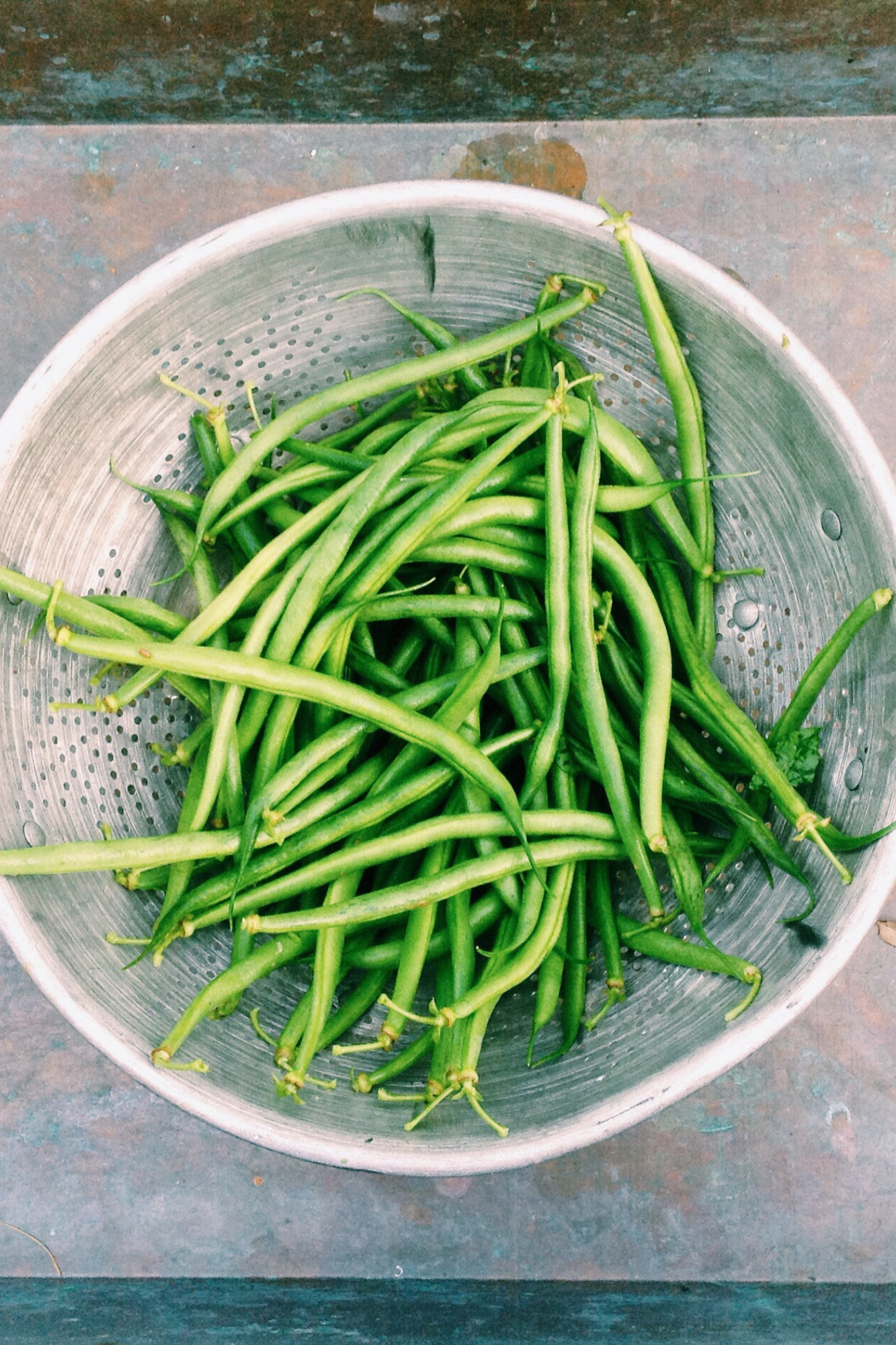 Quick and Easy Oven Roasted Green Beans